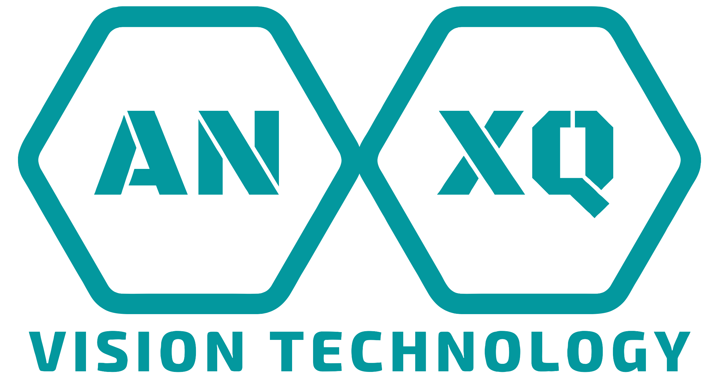 ANXQ Vision Technology Kft.